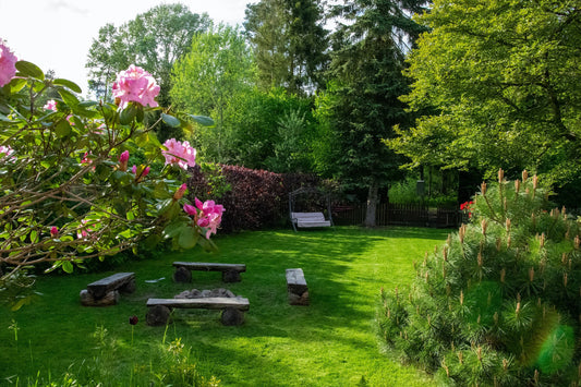 Easy Steps to Support Sustainable Living in Your Backyard
